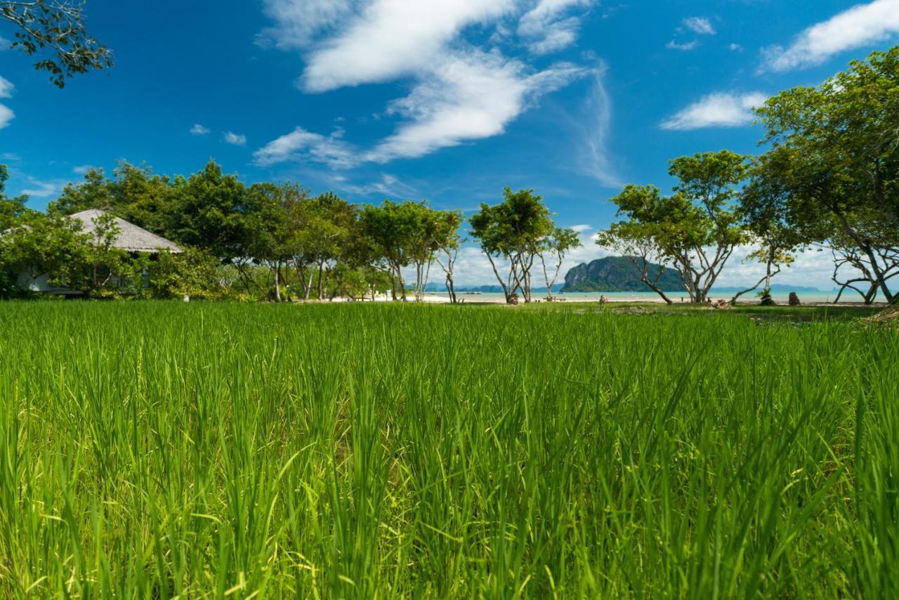 פאנג-נגה Koh Yao Yai Village מראה חיצוני תמונה